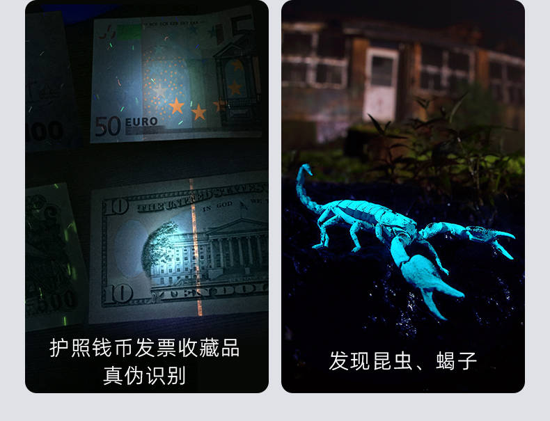 手電筒廠(chǎng)家
